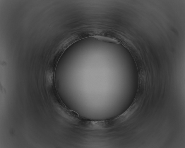 X0000090710188200708031440