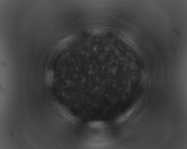 X0000090710189200708031440