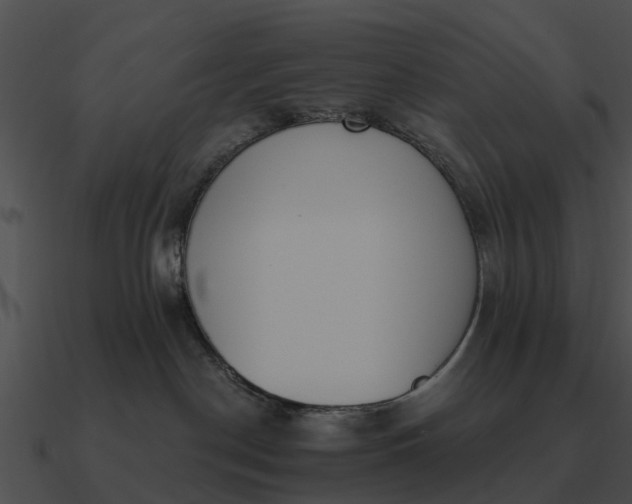 X0000090710190200708031440