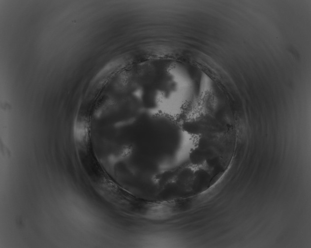 X0000090710191200708031440