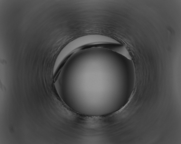 X0000090710192200708031440