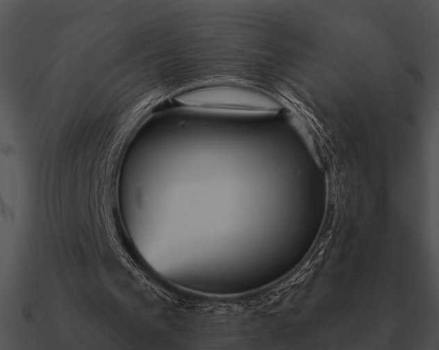 X0000090710193200708031440