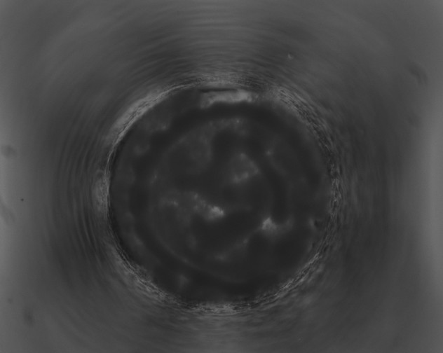 X0000090710194200708031440