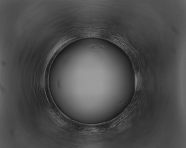 X0000090710195200708031440