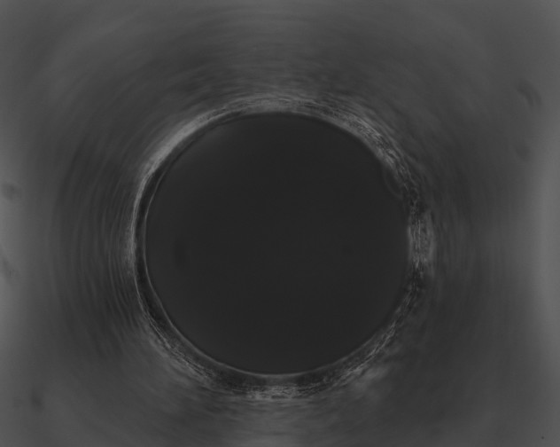 X0000090710196200708031440