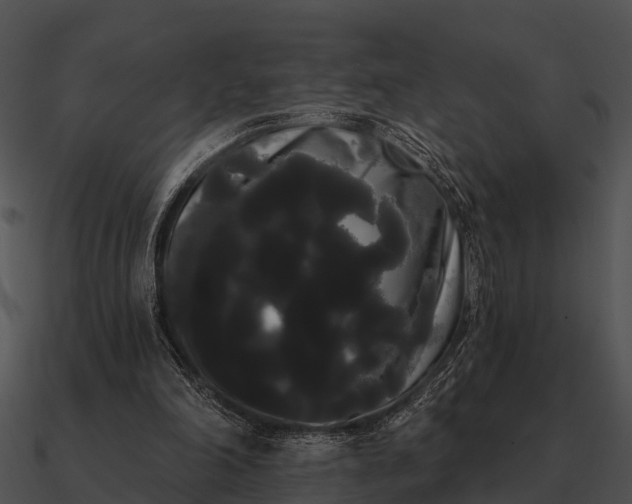 X0000090710198200708031440