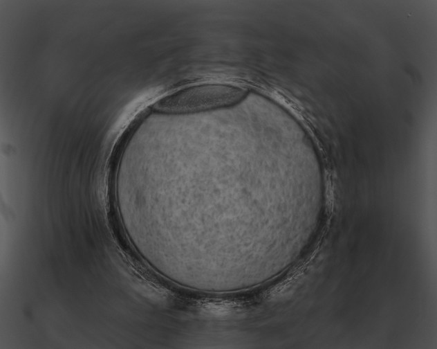 X0000090710199200708031440