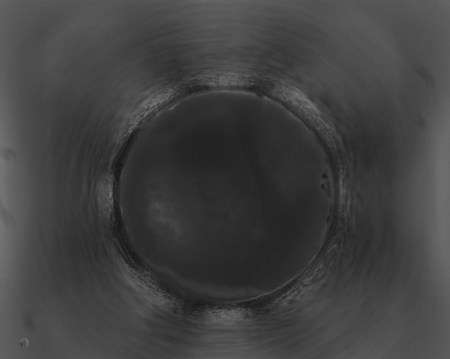 X0000090710202200708031440