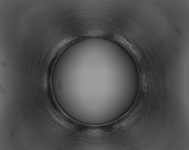 X0000090710203200708031440