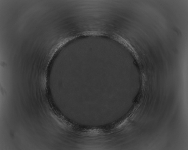 X0000090710204200708031440