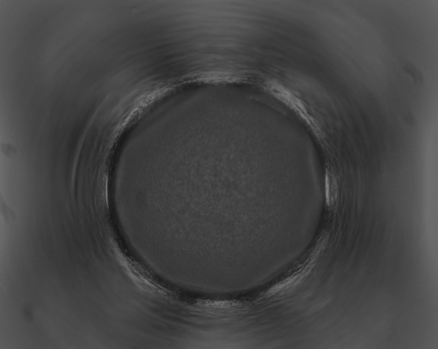 X0000090710205200708031440