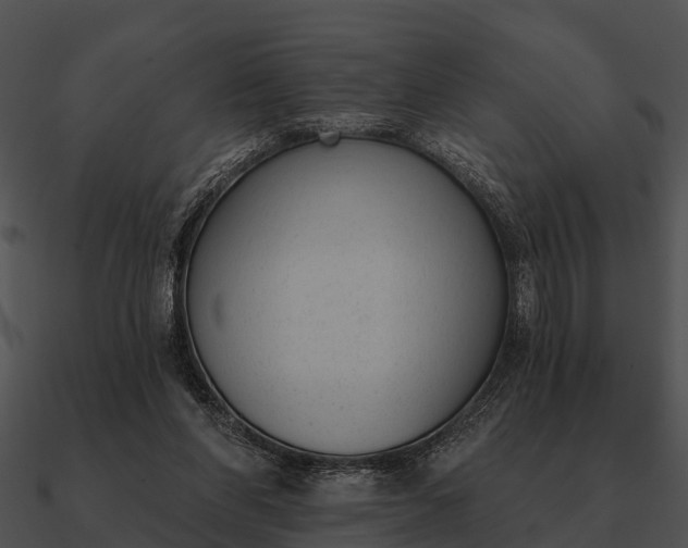 X0000090710206200708031440