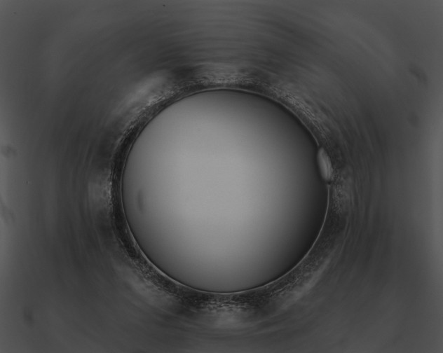 X0000090710207200708031440