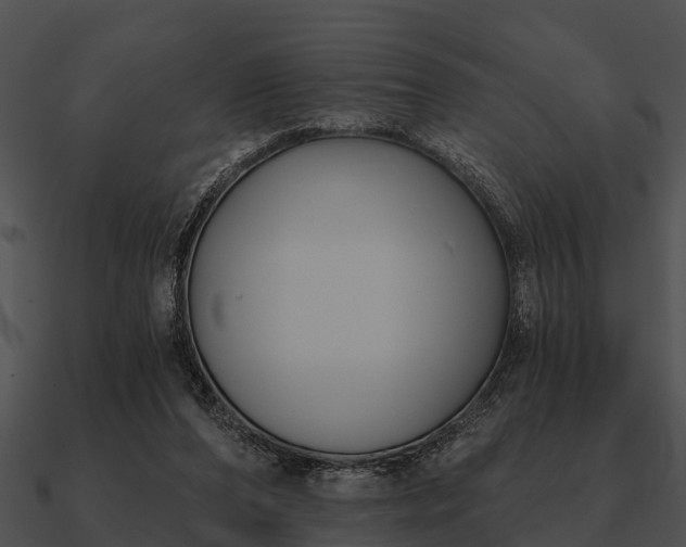 X0000090710208200708031440