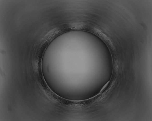 X0000090710209200708031440