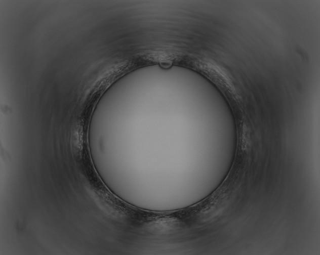 X0000090710210200708031440