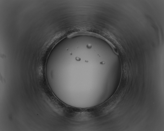 X0000090710212200708031439