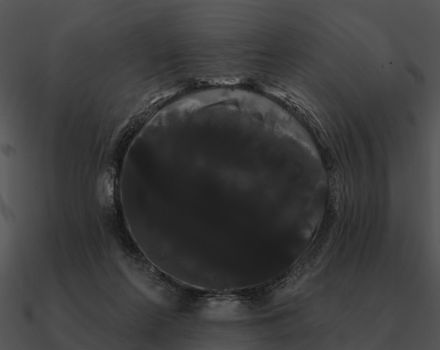 X0000090710214200708031439