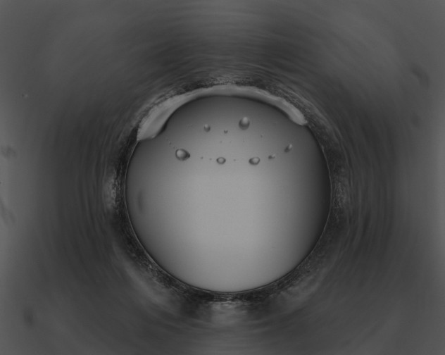 X0000090710216200708031439