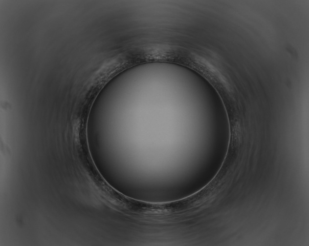 X0000090710217200708031439