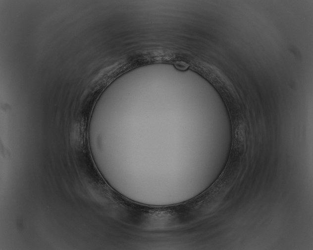 X0000090710218200708031439