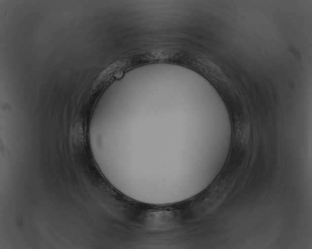 X0000090710220200708031439