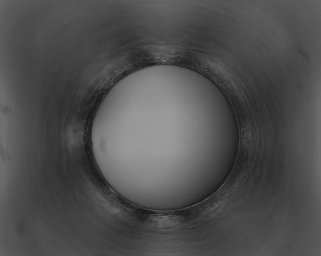 X0000090710221200708031439