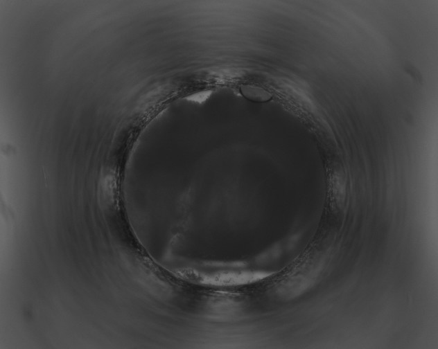 X0000090710222200708031439