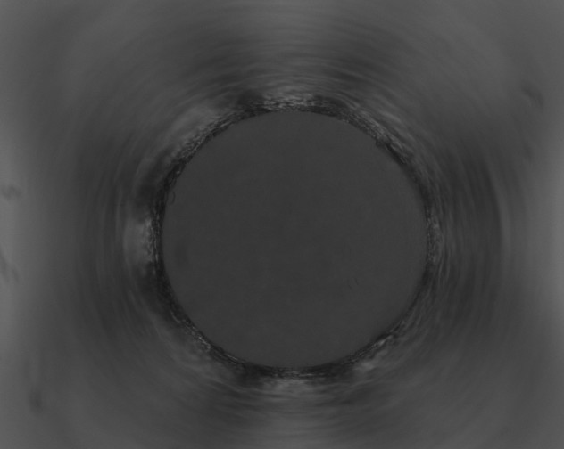 X0000090710224200708031439