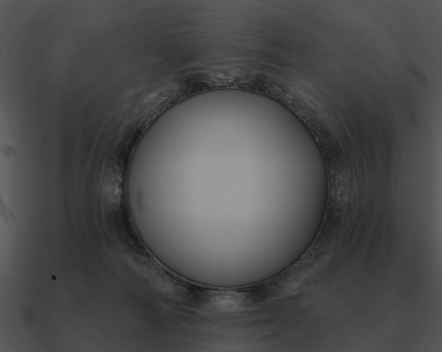 X0000090710226200708031439