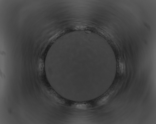 X0000090710228200708031439