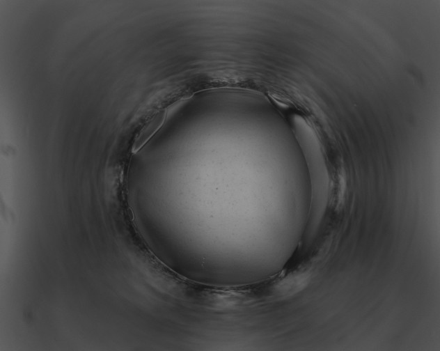 X0000090710229200708031439