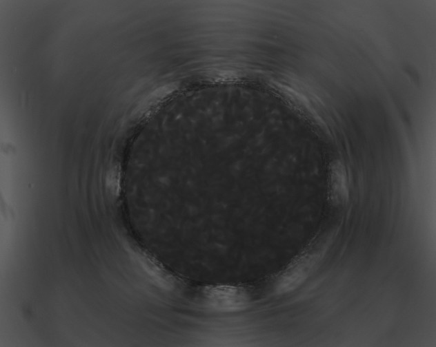 X0000090710230200708031439