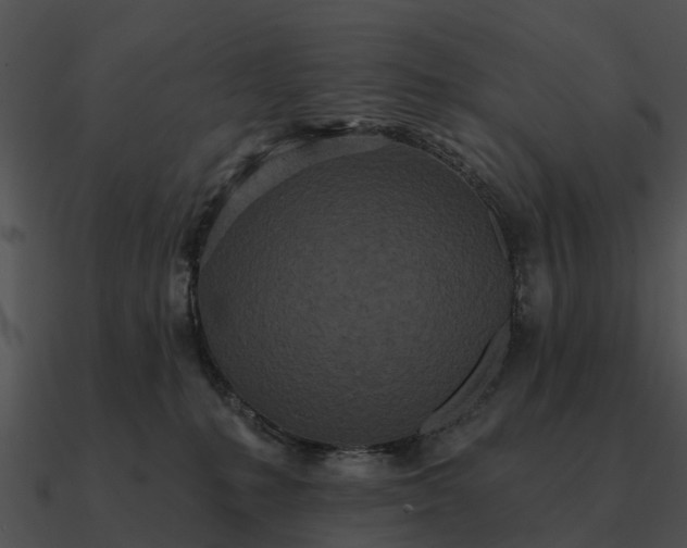 X0000090710231200708031439