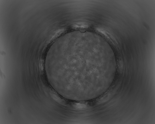 X0000090710232200708031439