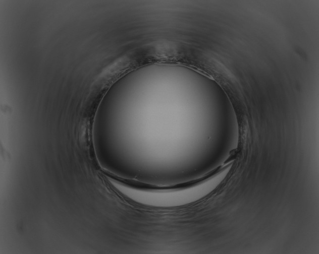 X0000090710233200708031439