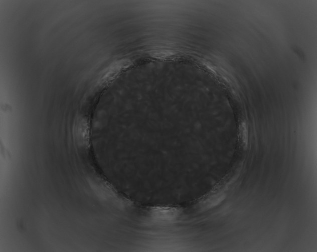 X0000090710234200708031439