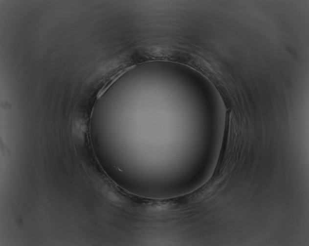 X0000090710235200708031439