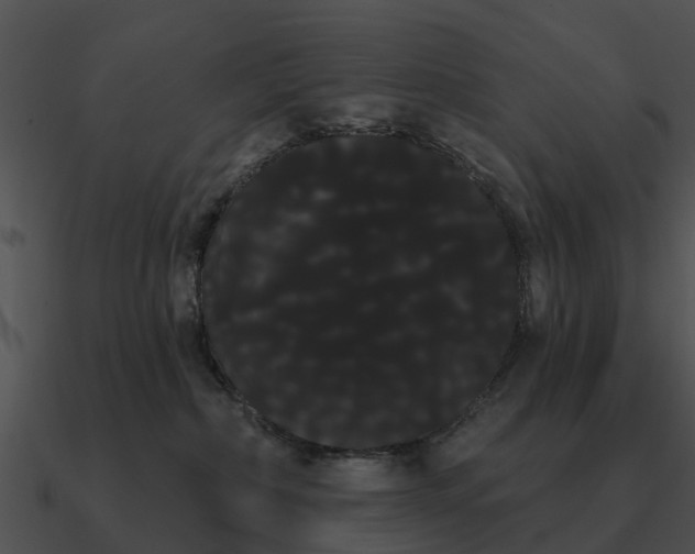 X0000090710236200708031439