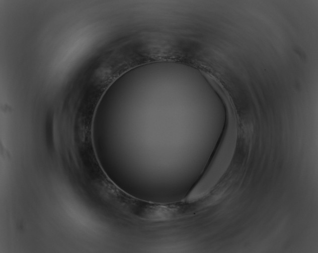 X0000090710239200708031439