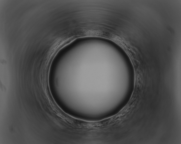 X0000090710241200708031439