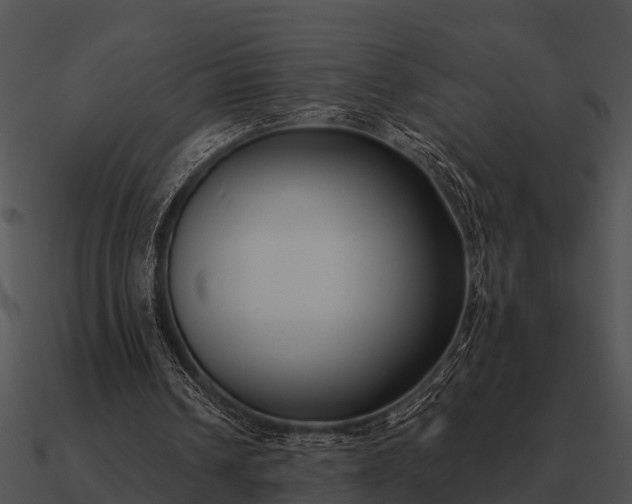 X0000090710242200708031439