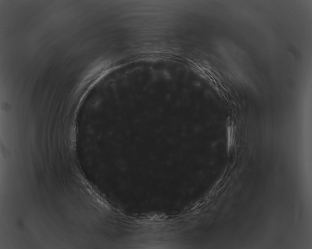 X0000090710243200708031439