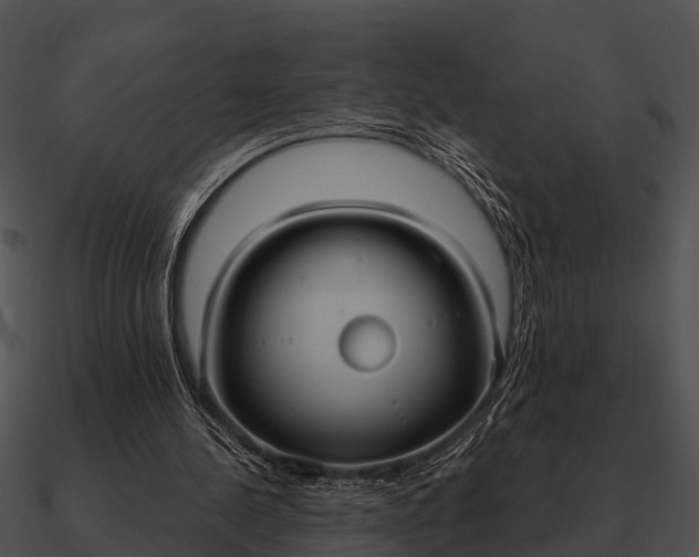 X0000090710244200708031439