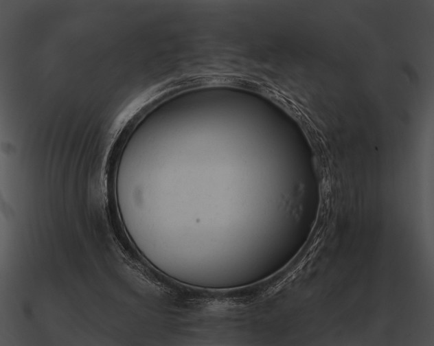 X0000090710246200708031439