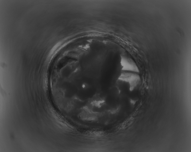 X0000090710247200708031439