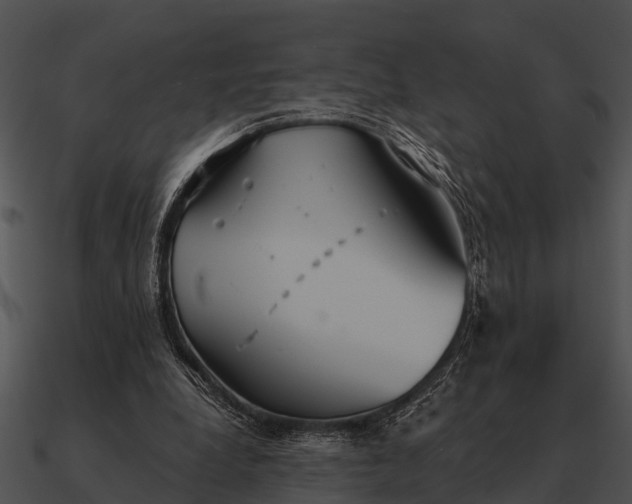 X0000090710248200708031439