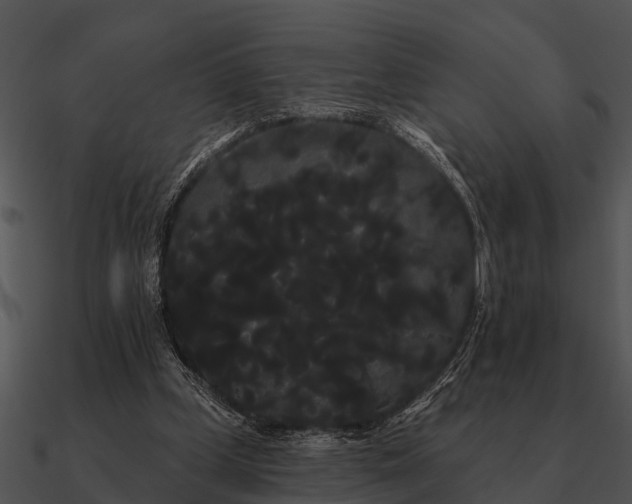 X0000090710249200708031439