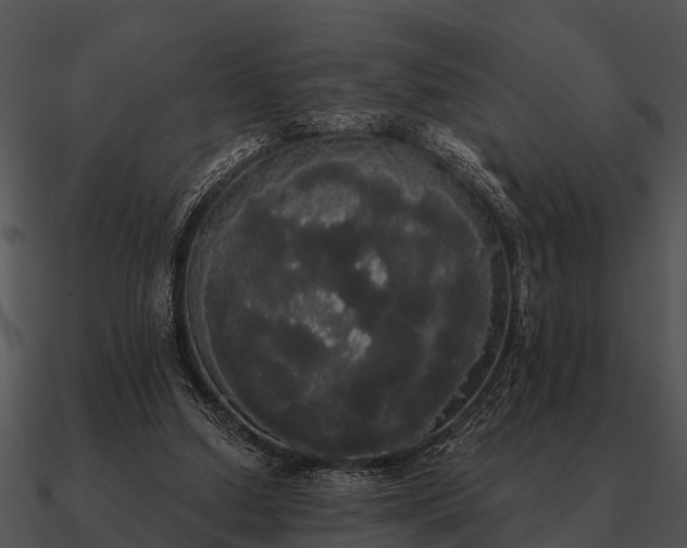 X0000090710250200708031439