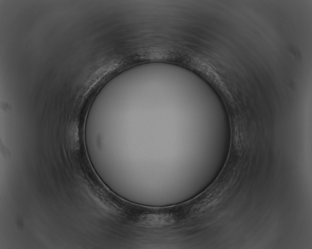 X0000090710251200708031439